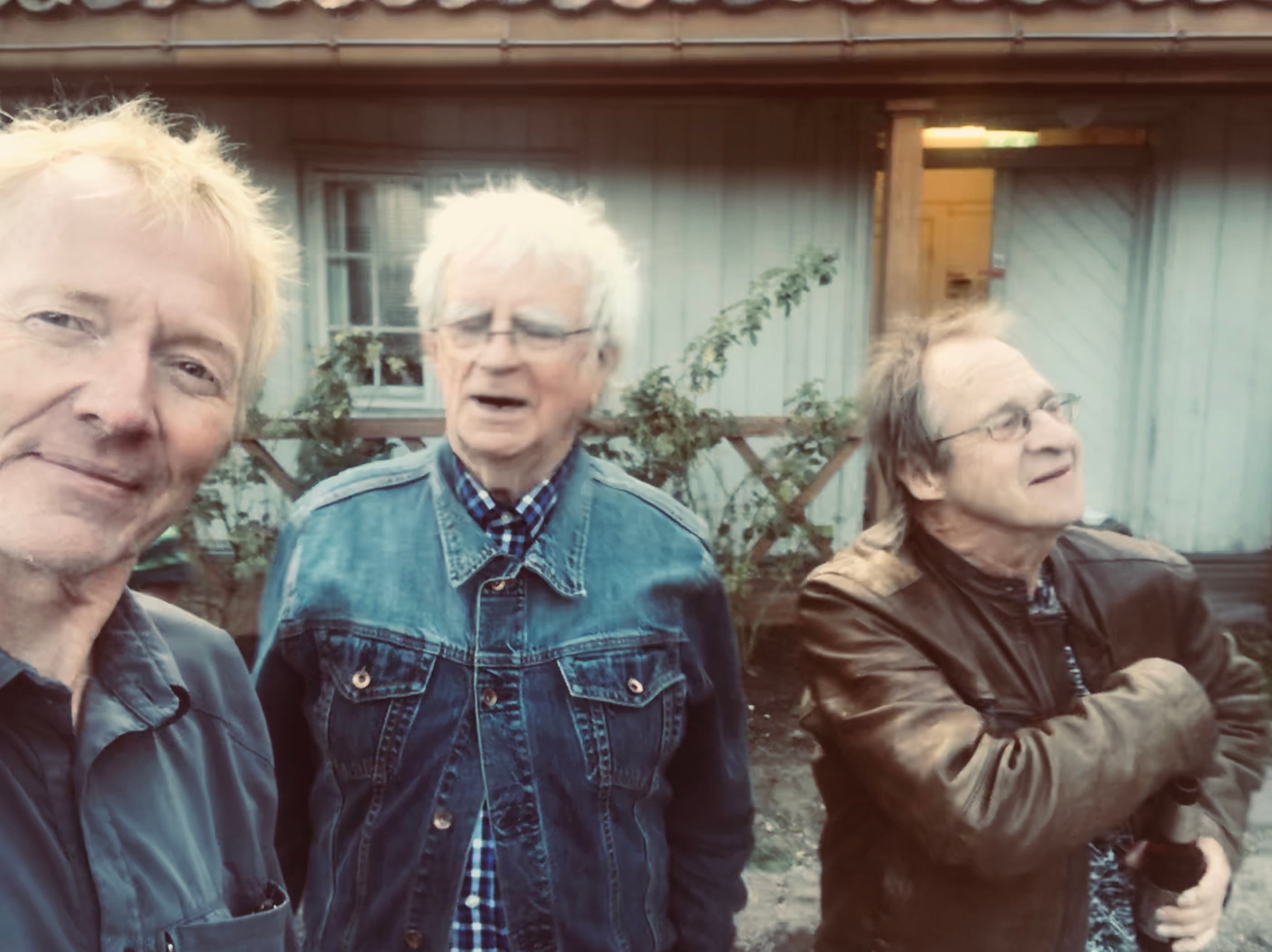 Tolv Blå – Vold & Virud